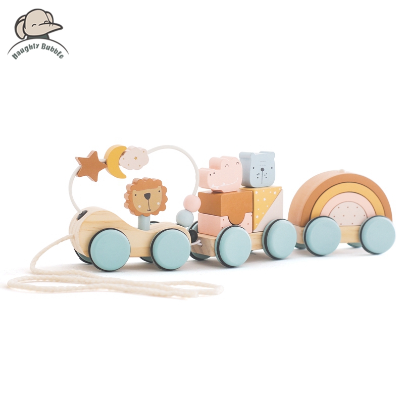 Kids Toys 2 Year Old - Ahşap Montessori Oyuncaklar Hayvan Blok Tren