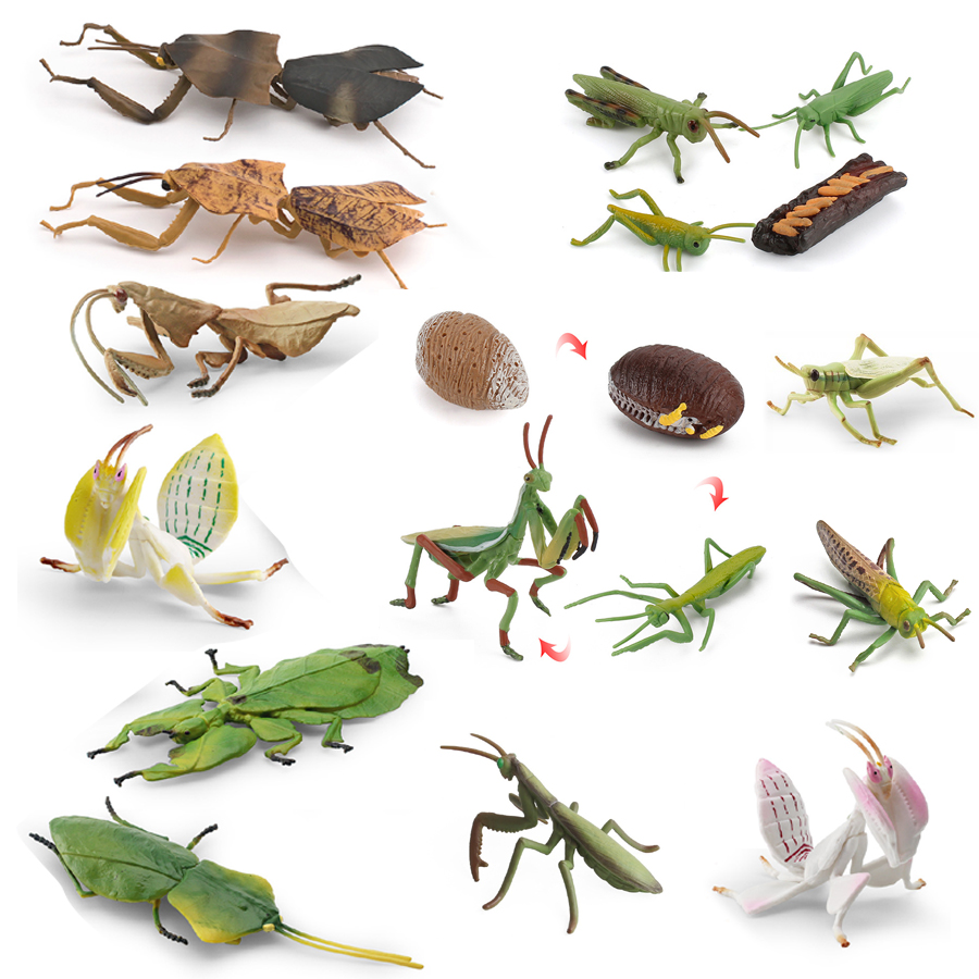Kids Toys Under 1 Year - Gerçekçi Orkide Mantis Ölü Yaprak Mantis