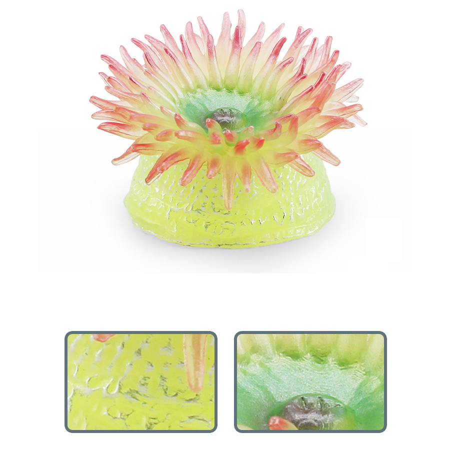 Gerçekçi Mercan Deniz Anemonla - Kids Toys Under 1 Year incelemesi ve fiyatı