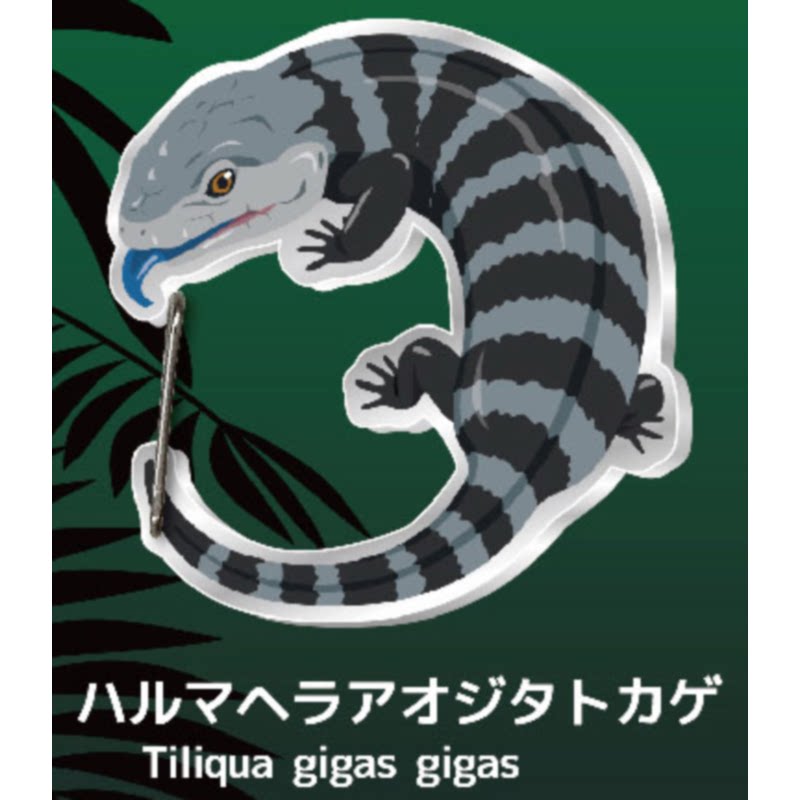 Kertenkele Gekko Karabina Kaps - Kids Toys Under 1 Year incelemesi ve fiyatı