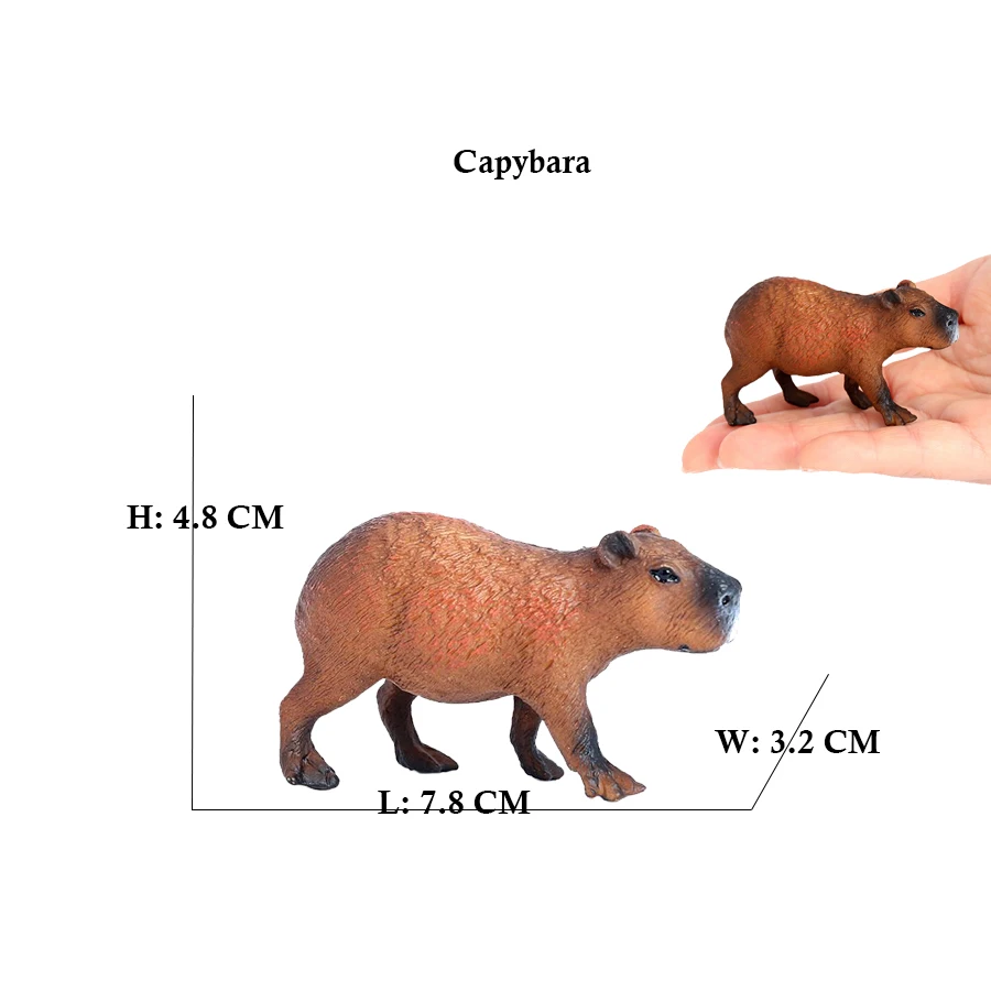 Capibara Capybaras Sincap Marm - Kids Toys Under 1 Year incelemesi ve fiyatı