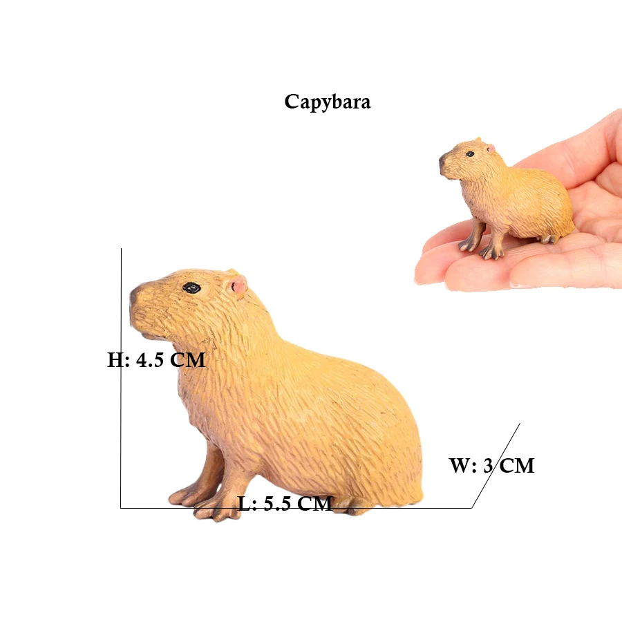 Capibara Capybaras Sincap Marm - Kids Toys Under 1 Year incelemesi ve fiyatı