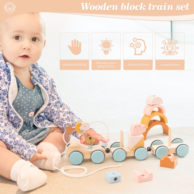 Ahşap Montessori Oyuncaklar Ha - Kids Toys 2 Year Old incelemesi ve fiyatı