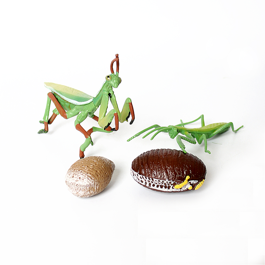 Gerçekçi Orkide Mantis Ölü Yap - Kids Toys Under 1 Year incelemesi ve fiyatı